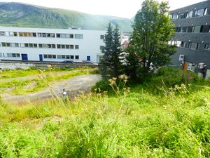 Rektor Steensgt. 1-3 ed2017.JPG