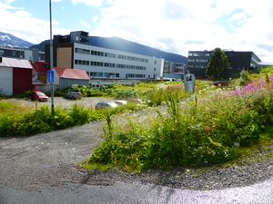 Rektor Steensgt. 9-11 ed2017.JPG