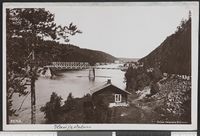 10. Rena - no-nb digifoto 20150810 00091 bldsa PK29977.jpg