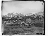 Rensdyrhjord [på Haukelifield] med Finnepigen Anna og Finne-Hunden Lomp. Foto: Foto: Marthinius Skøien, ca. 1880–1887. [Bildet er trulig teke ca. tidlig august etter reinpelsen å dømme.]