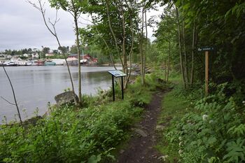 Informasjonstavla som står på Flatstranda på Nærsnes, er plassert på den forhøyningen som utgjør det gamle fundamentet til «Den store isbrygga» (Foto: Victor Iversen 2021)