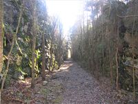 Tidligere trasé for Østfoldbanen (til 1925), sør for tidl. Ljansbroen. Foto: Stig Rune Pedersen (2012).