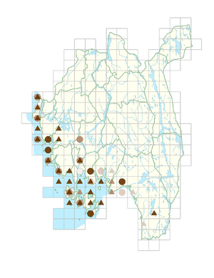 Rhamnus cathartica.png