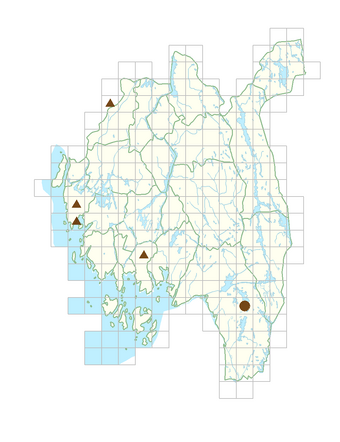 Rhododendron catawbiense.png