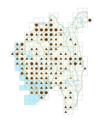 Ribes uva-crispa subsp. lasiocarpum.png