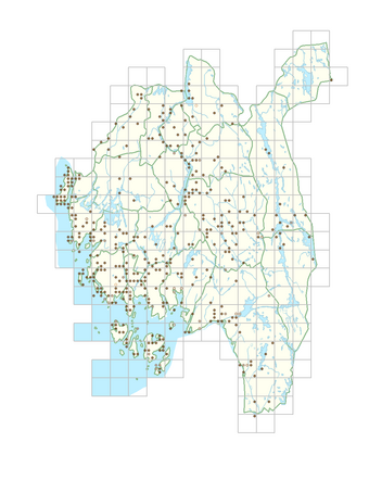 Ribes uva-crispa subsp. lasiocarpum 1.png