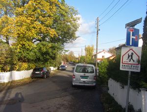 Ribstonveien Oslo 2014.jpg