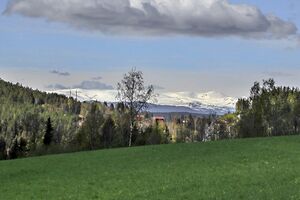 Ringerike Veme 200511.jpg