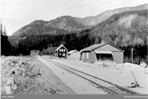 Ringmoen stoppested.png