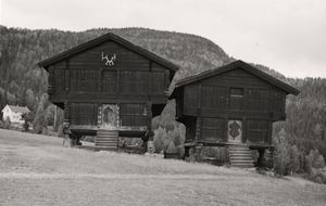 Ringnes, Buskerud - Riksantikvaren-T061 01 0070.jpg