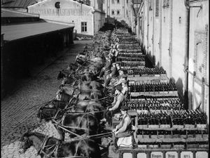 Ringnes hestetransport.JPG