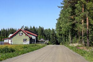 Ringsaker Ulvegutua 250718.jpg