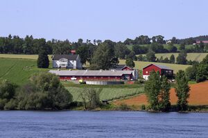 Ringsaker Vestre Skjelve 250717.jpg