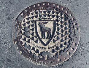 Ringsaker kommune kumlokk 2014.JPG