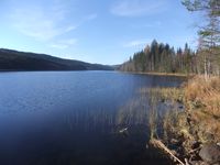 Ringsjøens østre del, med kamera vendt vestover.