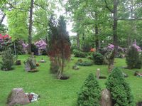 Ris kirkegård (urnelund) ligger ved Ris kirke. Foto: Stig Rune Pedersen