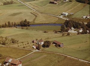 Ristvet i Bingen - WF423.jpg