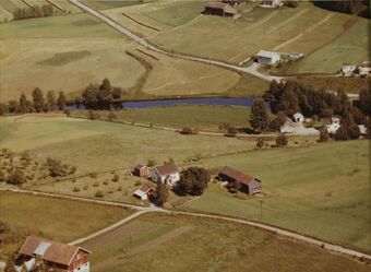Ristvet i Bingen - WF423.jpg