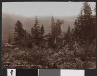 61. Rjukan I.Ø.A 4. Fordelingsbassinet - no-nb digifoto 20160412 00141 bldsa EYDE 5 07B 046.jpg