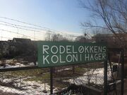 Rodeløkkens kolonihager Oslo.jpg