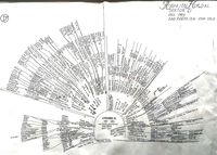 Rognlienslekten 1 sektor D. Satt opp av sivilarkitekt Dag Rognlien i 1993. Han utarbeidet i alt 6 slektstavler. Dette var et omfattende verk, da familien har grener i mange retninger i inn- og utland.
