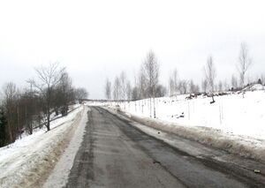 Rommenstubben Oslo 2015.jpg