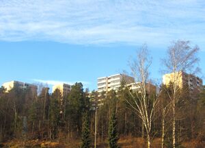 Romsås Oslo 2011.JPG