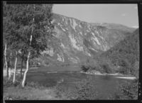 1948-1949.