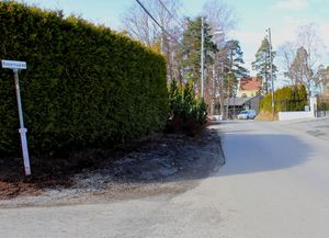 Ropernveien Bærum 2016.jpg