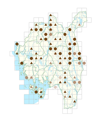 Rosa majalis var. globosa.png