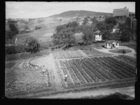 Rosenhoff Skolehaver ved Torshov, Oslo. Foto: Narve Skarpmoen, 1915-1930.
