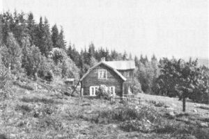 Rotnelia søndre Brandval Finnskog 1974.jpg