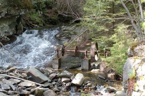 Roverkulaasen 2006 05 26 13 03 40.jpg