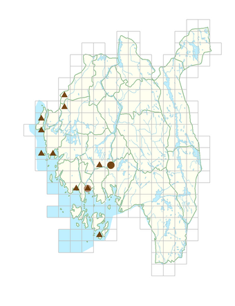 Rubus laciniatus.png