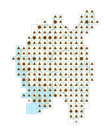 Rudbeckia laciniata 1.png