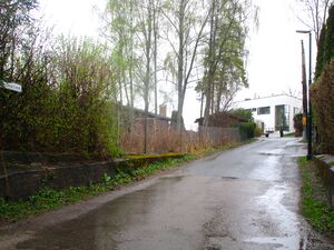 Rugdestien Oslo 2015.jpg