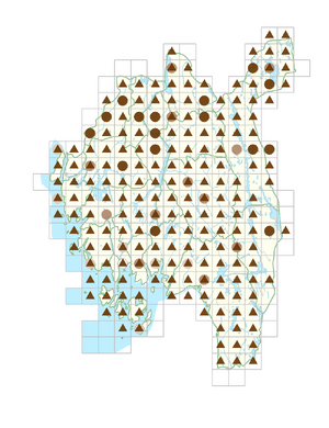 Rumex acetosella subsp. acetosella.png