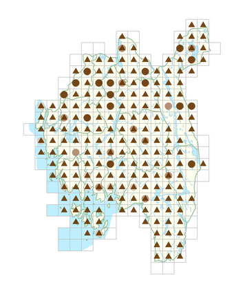 Rumex acetosella subsp. acetosella.png