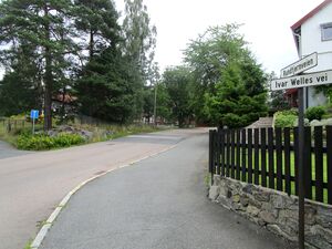 Rundtjernveien Oslo 2015.JPG