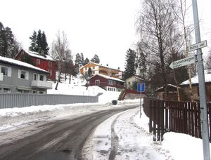 Ruths vei Oslo 2014.jpg