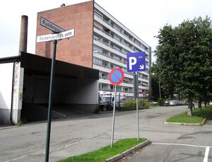 Ryddinggangen Drammen 2015.jpg