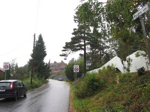 Ryghs vei Oslo 2013.jpg