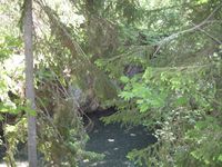 Såsengruva er i dag fylt med vann og skjult av tett vegetasjon.