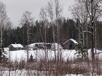 39. Sølvberg 2026.jpeg