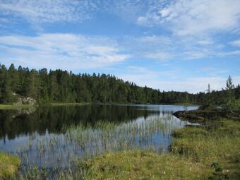 Søndre Øyvann (be-2008-07-18-IMG 2433).JPG
