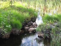 Søndre Øyvann (be-2008-07-18-IMG 2437).JPG