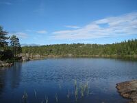 Søndre Øyvann (be-2008-07-18-IMG 2440).JPG