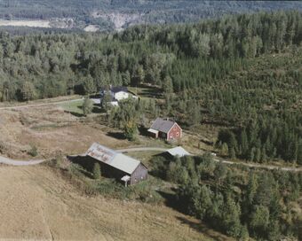 Søndre Bergimellom Kongsvinger gnr. 17.24 FW 1994.jpg