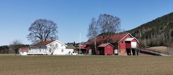 Søndre Hobbelstad Hokksund 2020.jpg