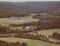 487. Sønju i Bingen - WF479.jpg